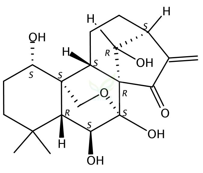 1.4克铅弹用多少恒压（葳③O⒎⑻⑥⒖⒏）秃头百度百科.ywi - 優惠推薦