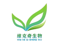 热烈祝贺我公司新网站上线